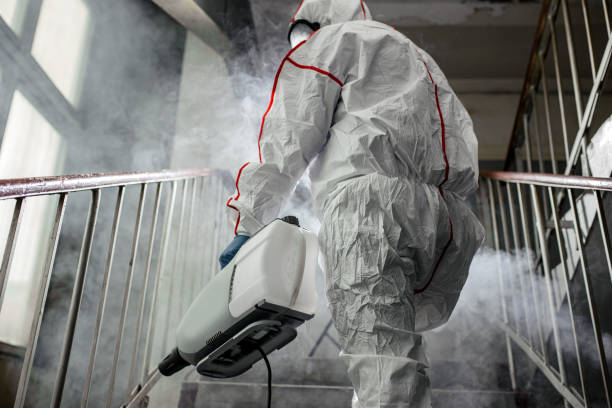 Best Mold Damage Restoration  in Fort Morgan, CO